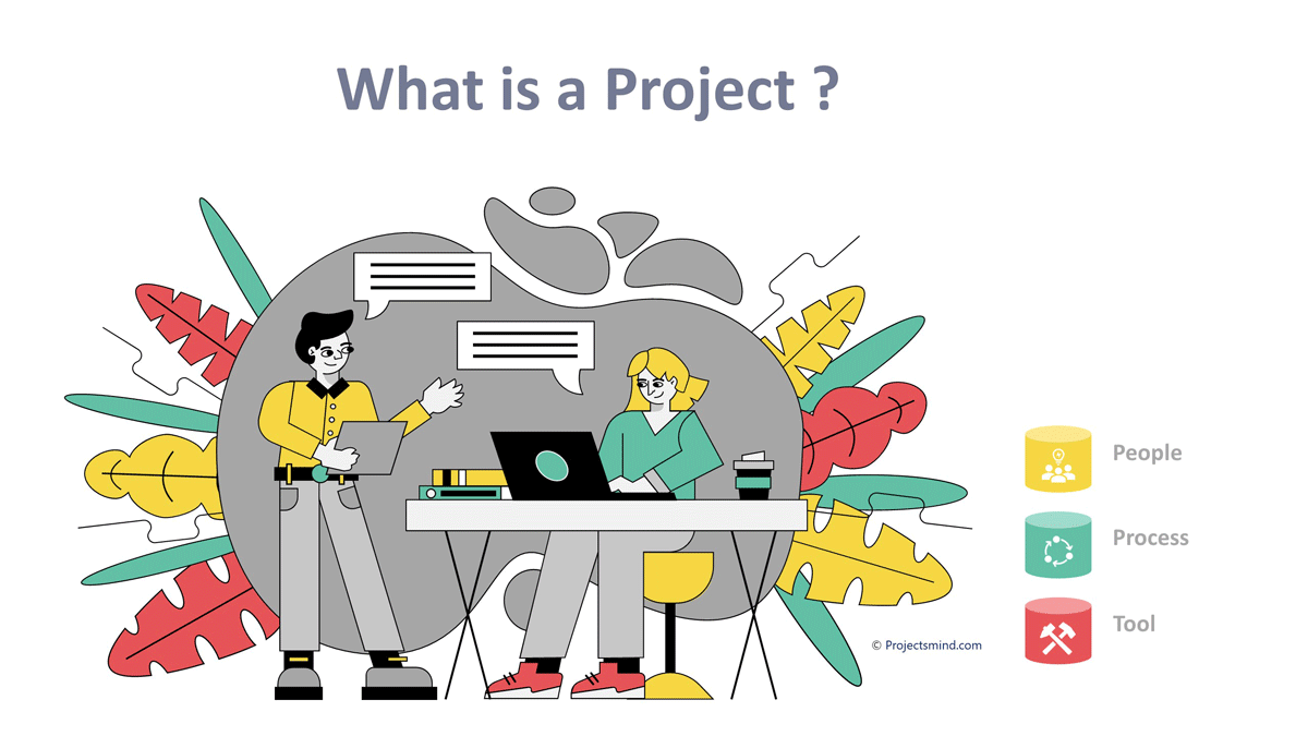 What is Project Explained in Less than 5 minutes » ProjectsMind.com